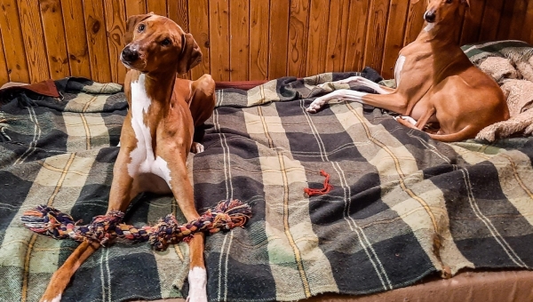 Neues Paradies gesucht