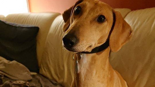 Ninni hat es geschafft