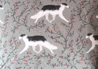 Herrlicher Barsoi-Rüde sucht ein neues Zuhause