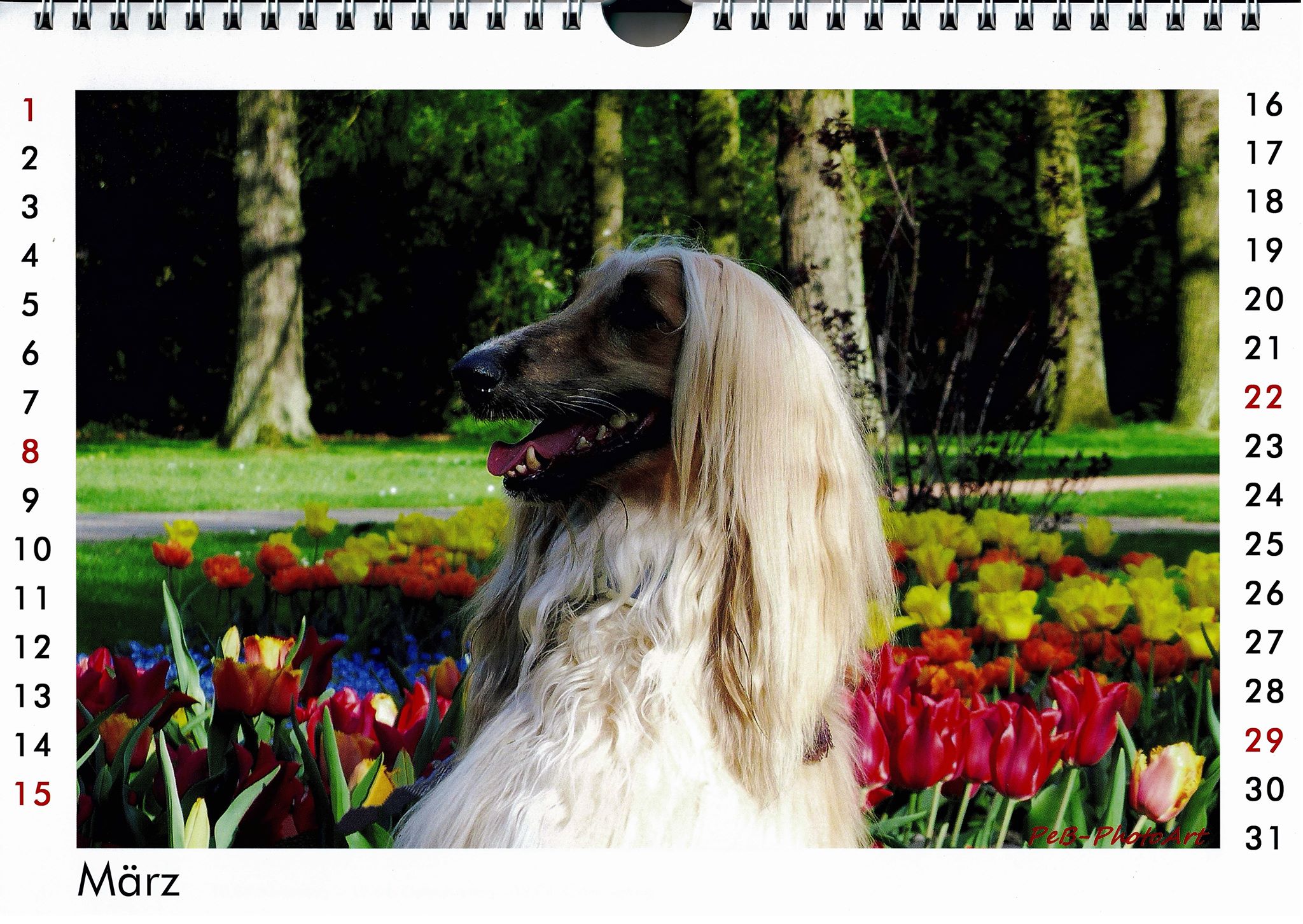 Alisha begrüßt den März