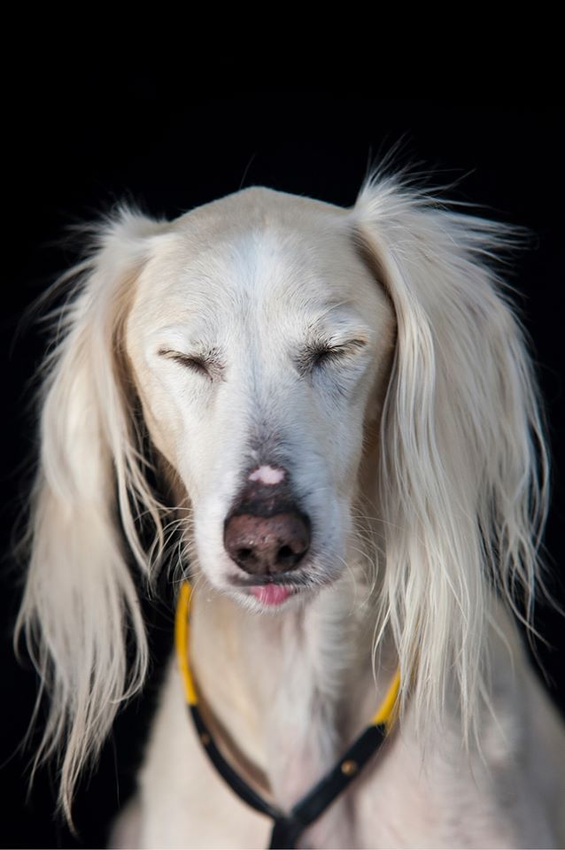 "Ist er nicht eine Wucht?"