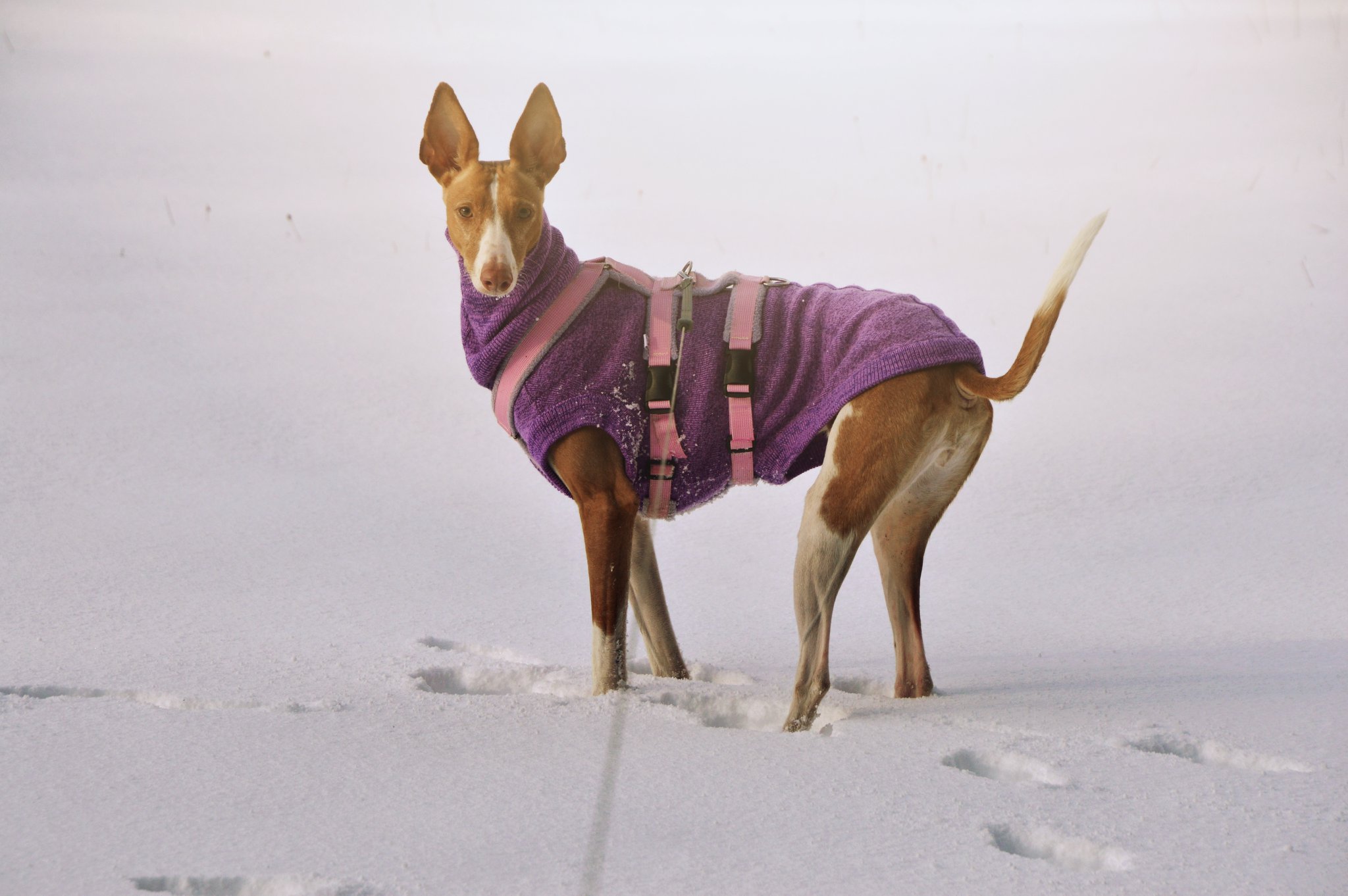 Vieles muss leider warten