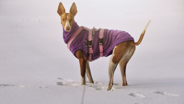 Vieles muss leider warten