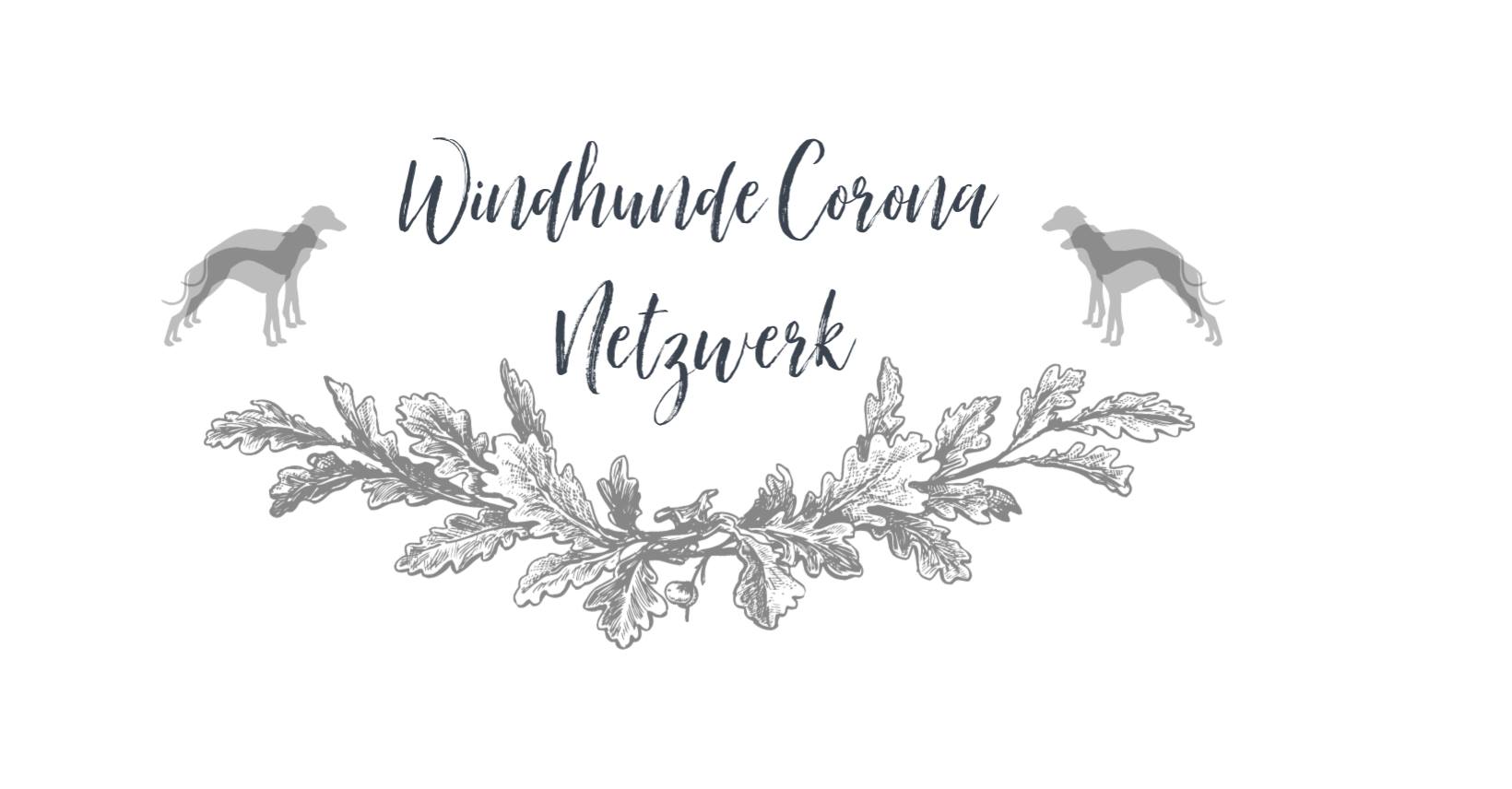 Windhunde Corona Netzwerk