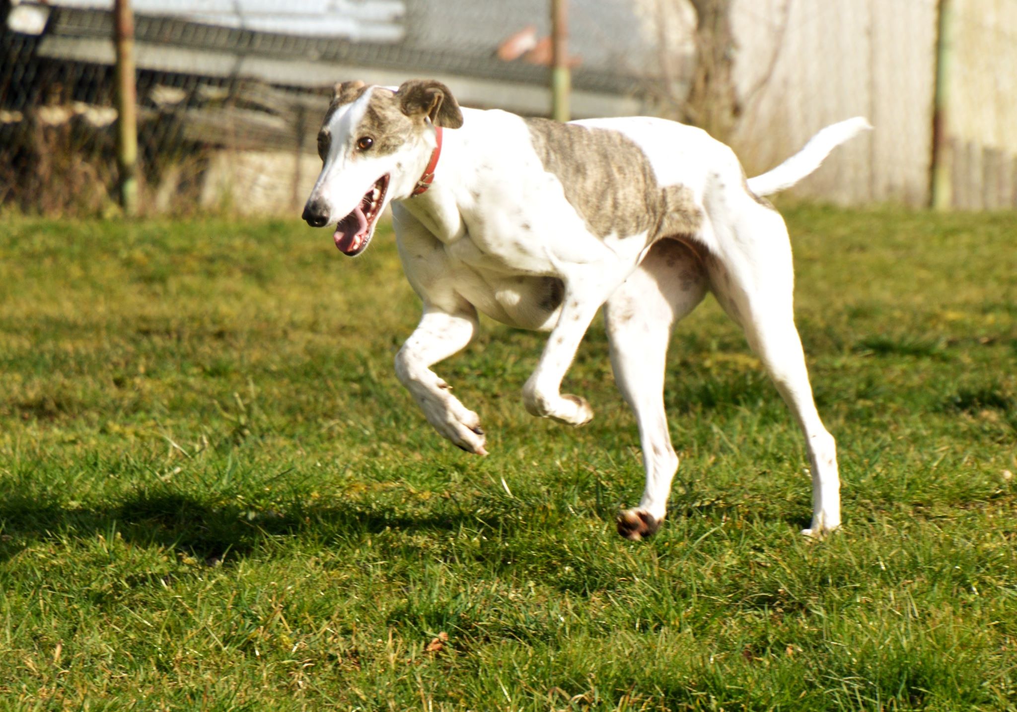 Und noch was Schönes