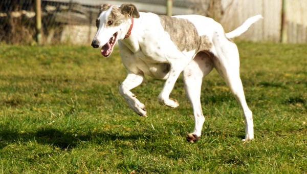 Und noch was Schönes