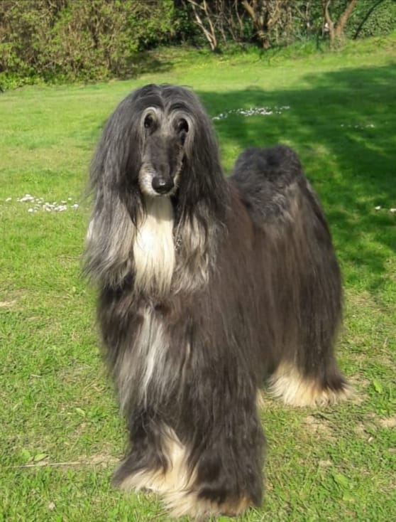 Unsere "Queen Josy" im Frühjahrslook