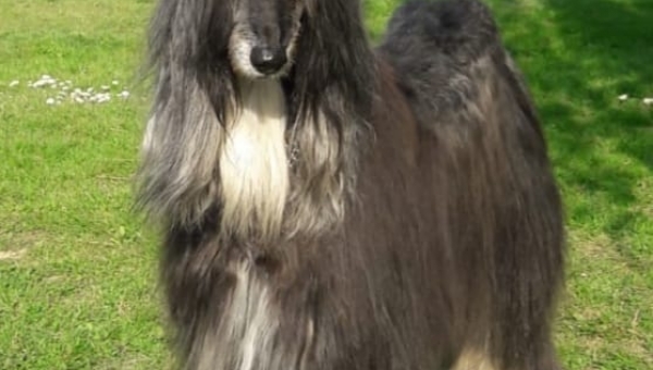 Unsere "Queen Josy" im Frühjahrslook