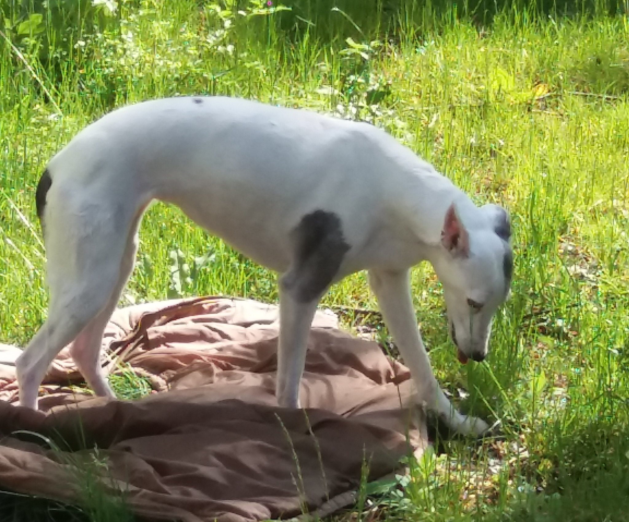 Mal was zum Nachdenken