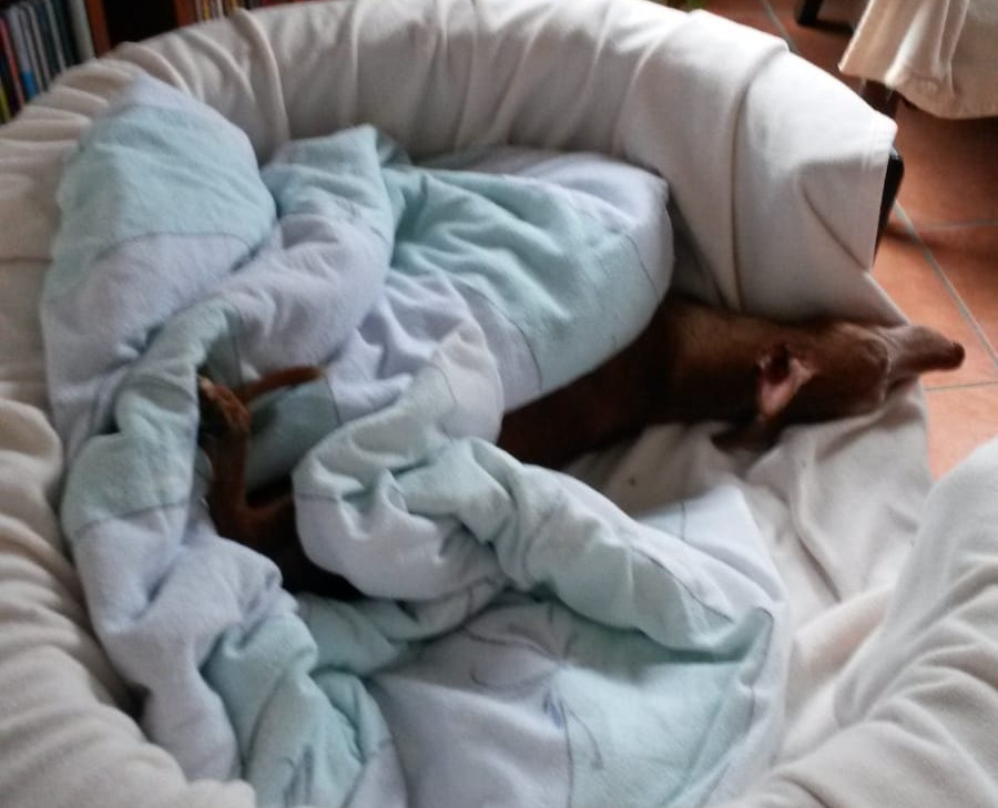 Maddox ist umgezogen