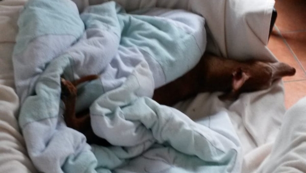 Maddox ist umgezogen