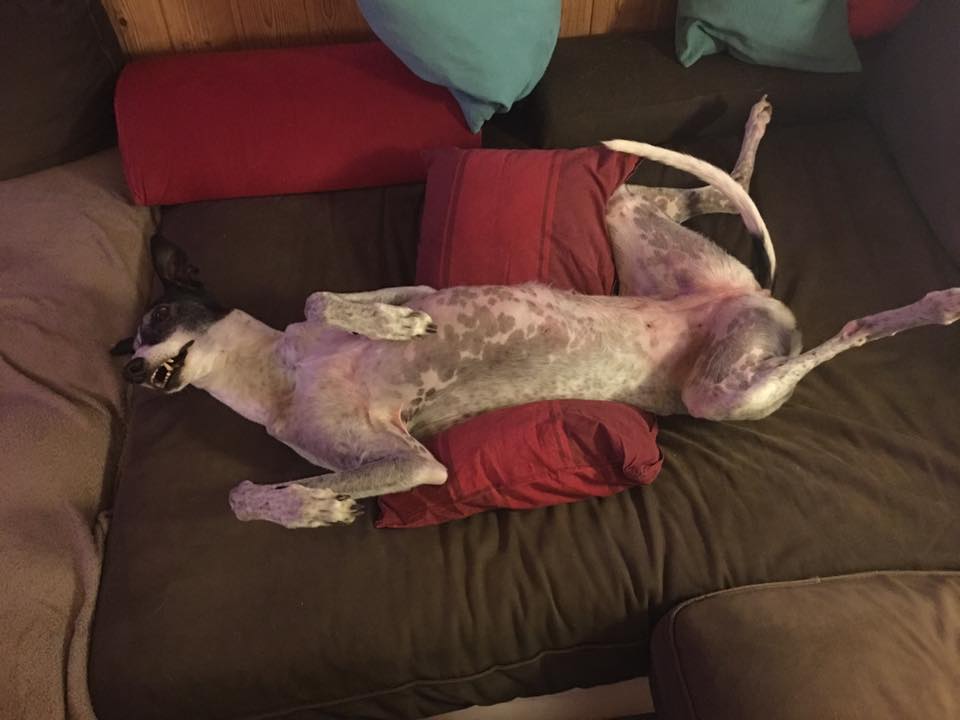 Sandy *03.01.2007 +10.05.2020