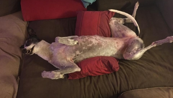 Sandy *03.01.2007 +10.05.2020