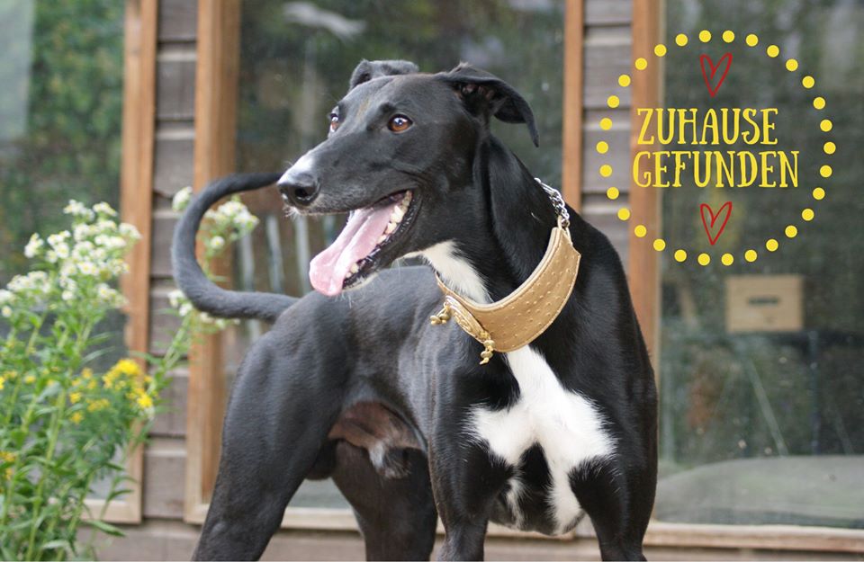 ...was lange währt, wird endlich gut