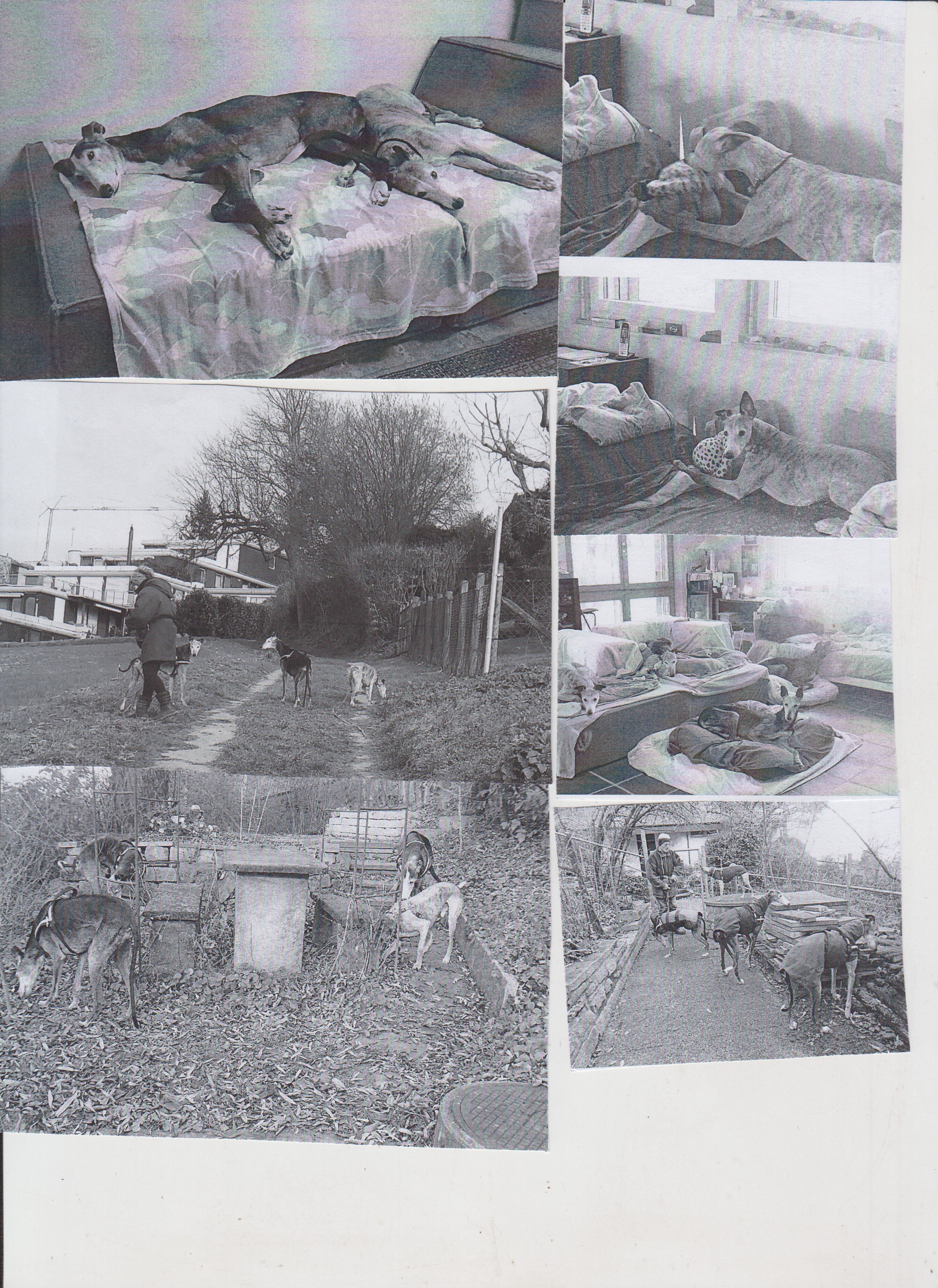 Post vom kleinen Joda