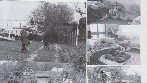 Post vom kleinen Joda