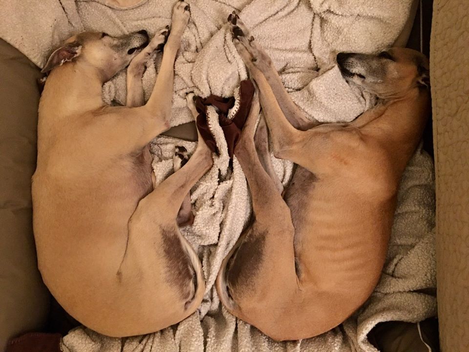 Seien Sie vorsichtig, wenn Sie bei uns anrufen…