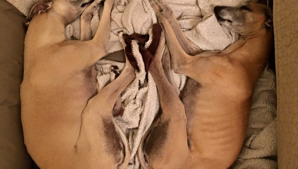 Seien Sie vorsichtig, wenn Sie bei uns anrufen…