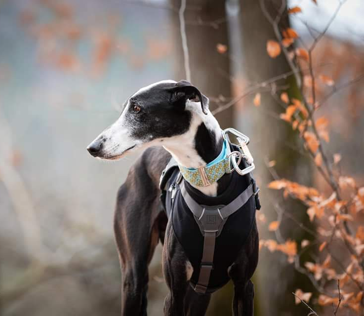 Manchmal dauert es etwas länger...