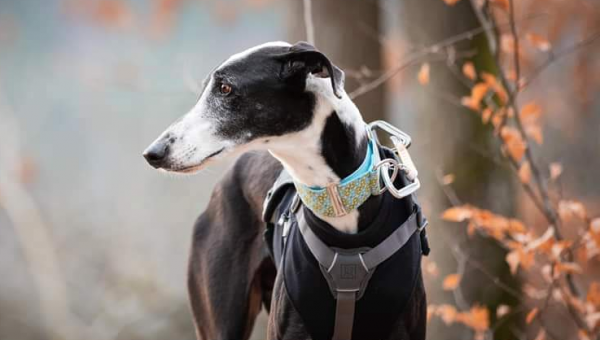 Manchmal dauert es etwas länger...