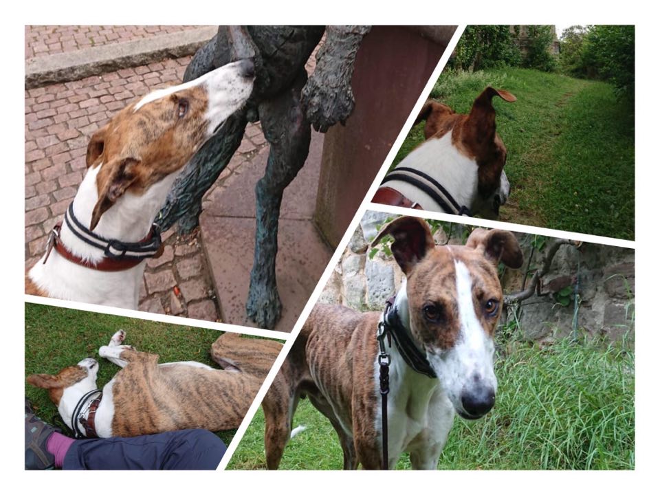 Schon vor einigen Tagen war es soweit...