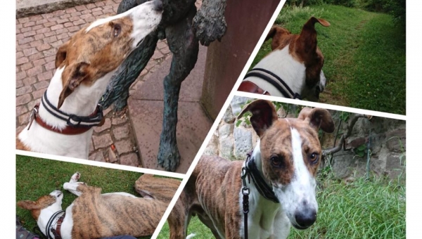 Schon vor einigen Tagen war es soweit...