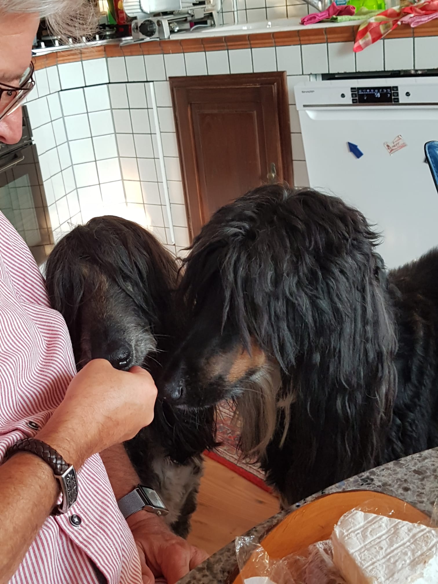 Glück muss man haben