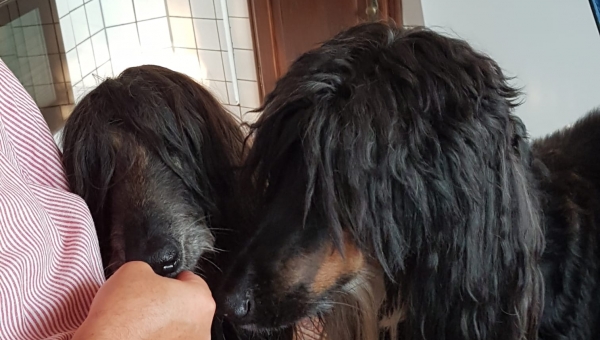 Glück muss man haben