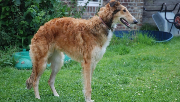  In den letzten Tagen ist wieder viel passiert ...