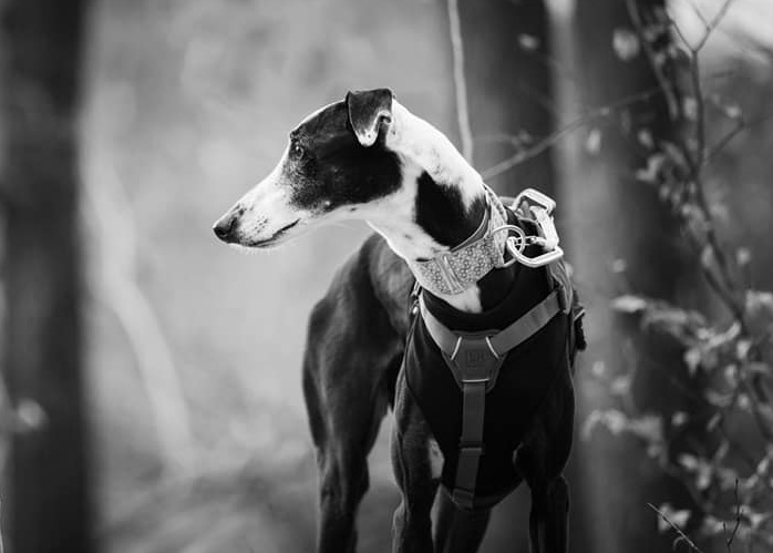 Manchmal ist das Leben nicht fair... 