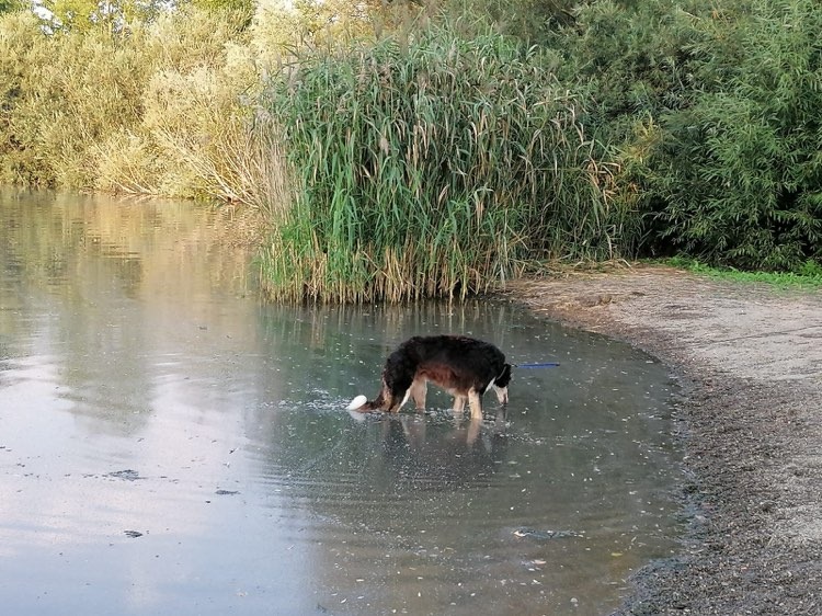 Viel Glück für die schöne Linda