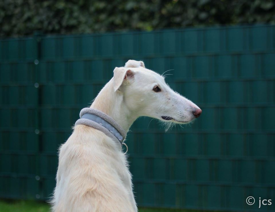 ...die Sonne geht auf