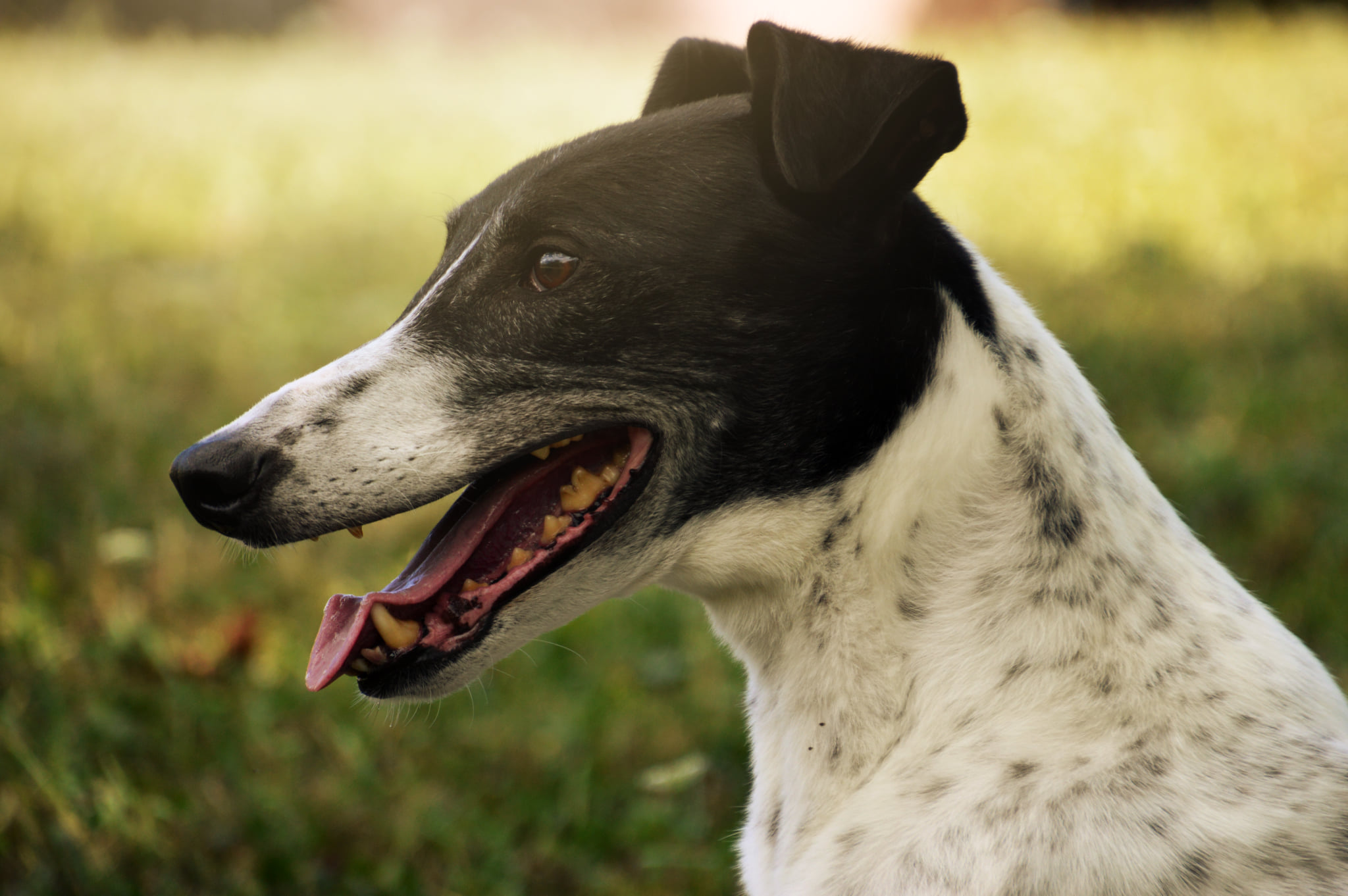 Karriereende und Neuanfang...