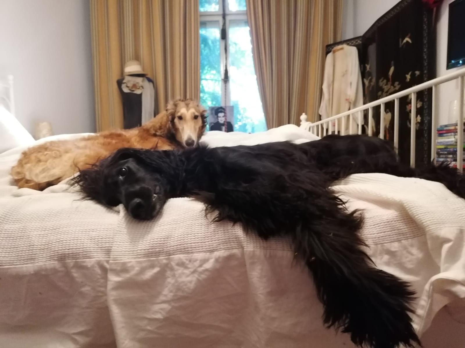 Unser russisches Perlchen hat ihr Tagebuch für uns geöffnet...