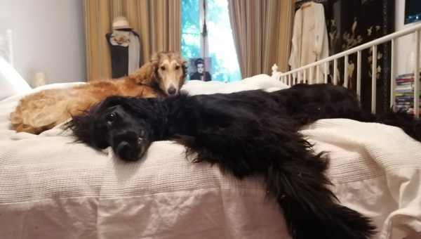 Unser russisches Perlchen hat ihr Tagebuch für uns geöffnet...