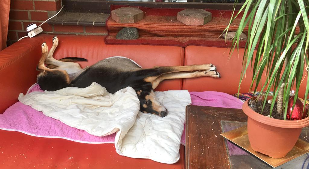 Willkommen im neuen Zuhause