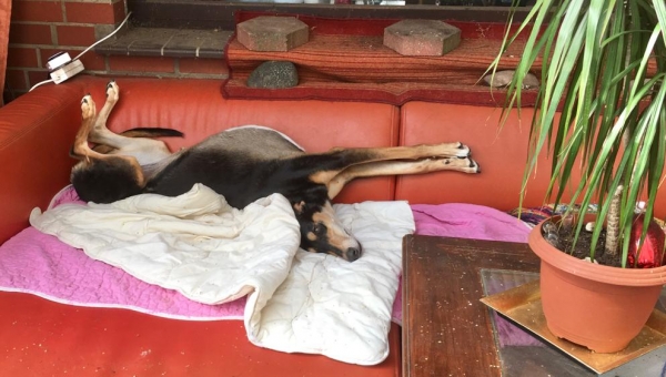 Willkommen im neuen Zuhause