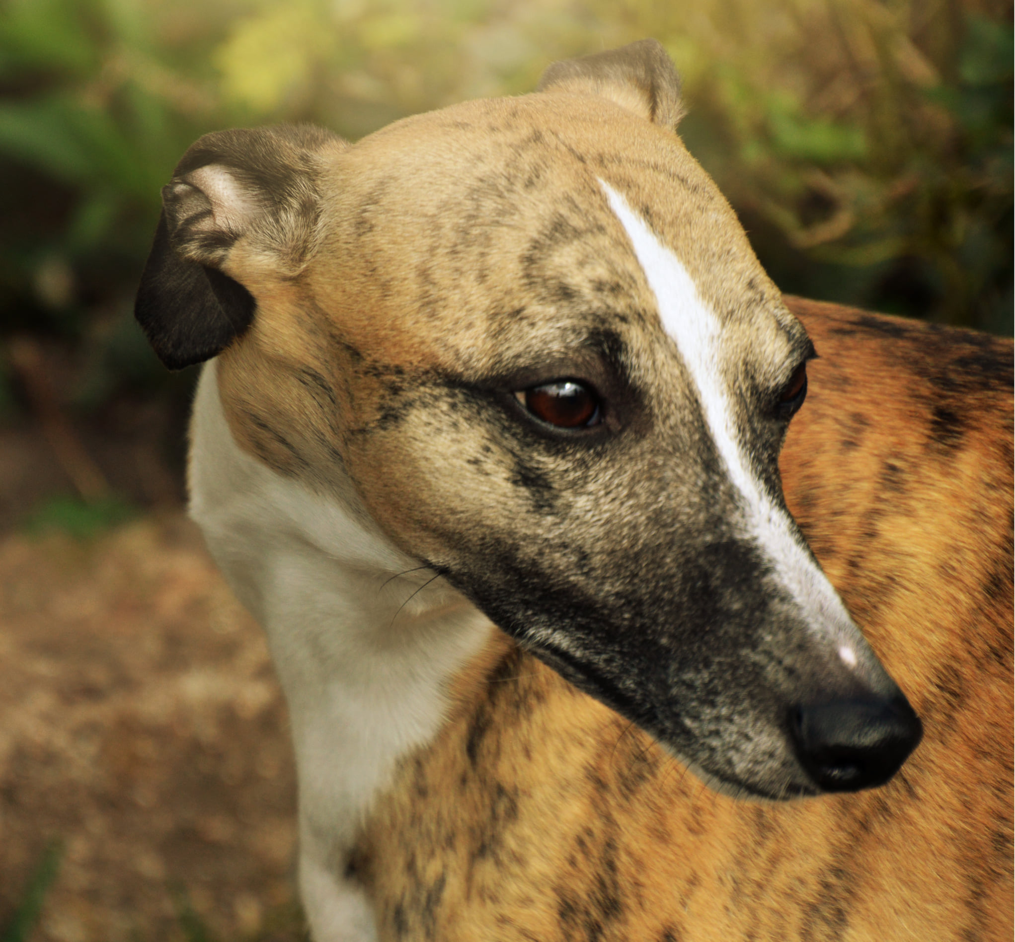 ...Benny ist bei seiner PS eingezogen