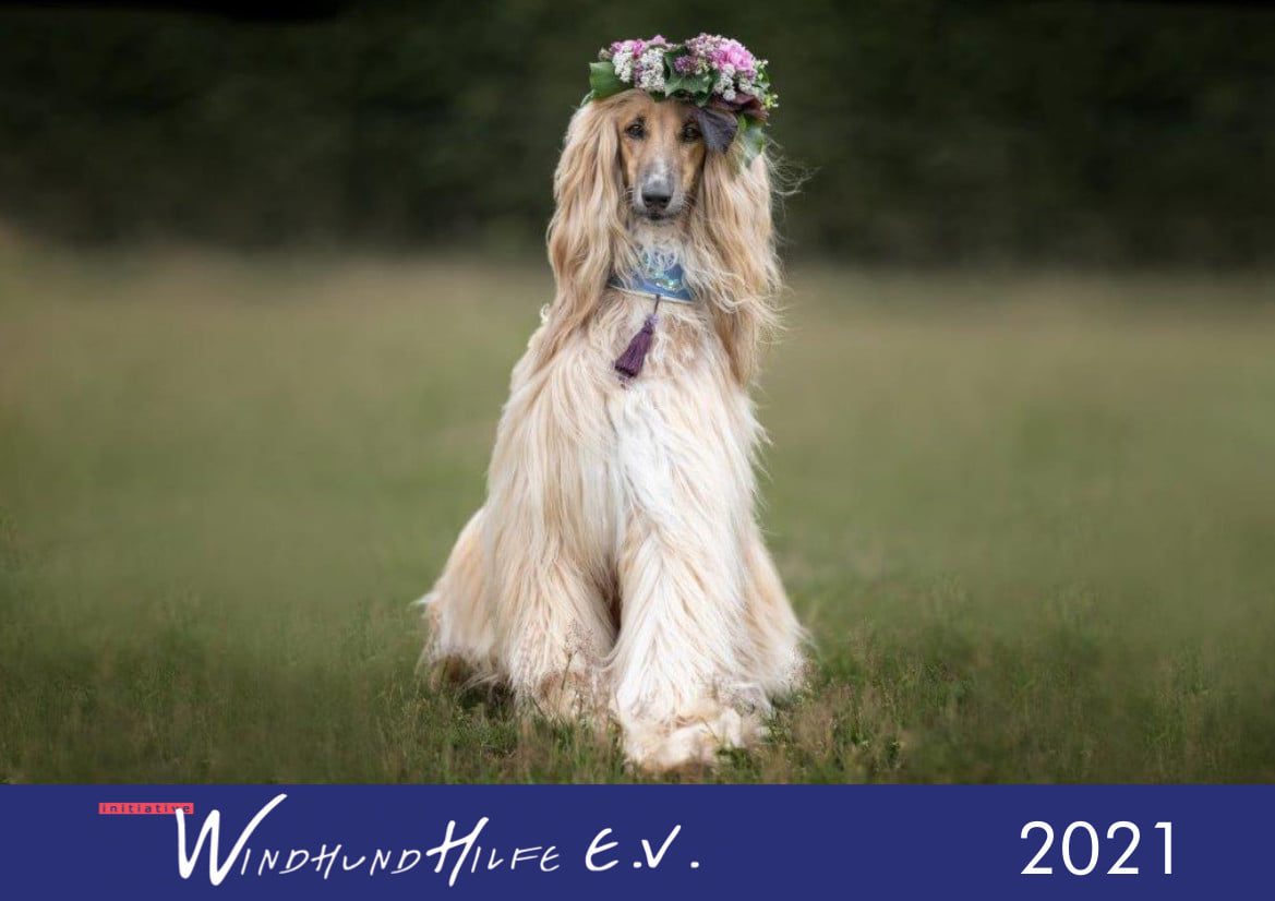 Verzögerte Auslieferung