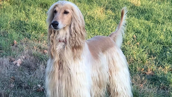 Alle drei sind gut angekommen!