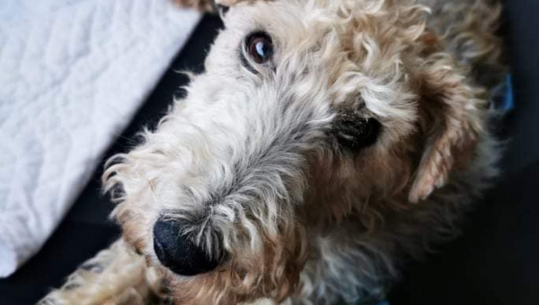 ...ein aufregender Tag geht zu Ende 