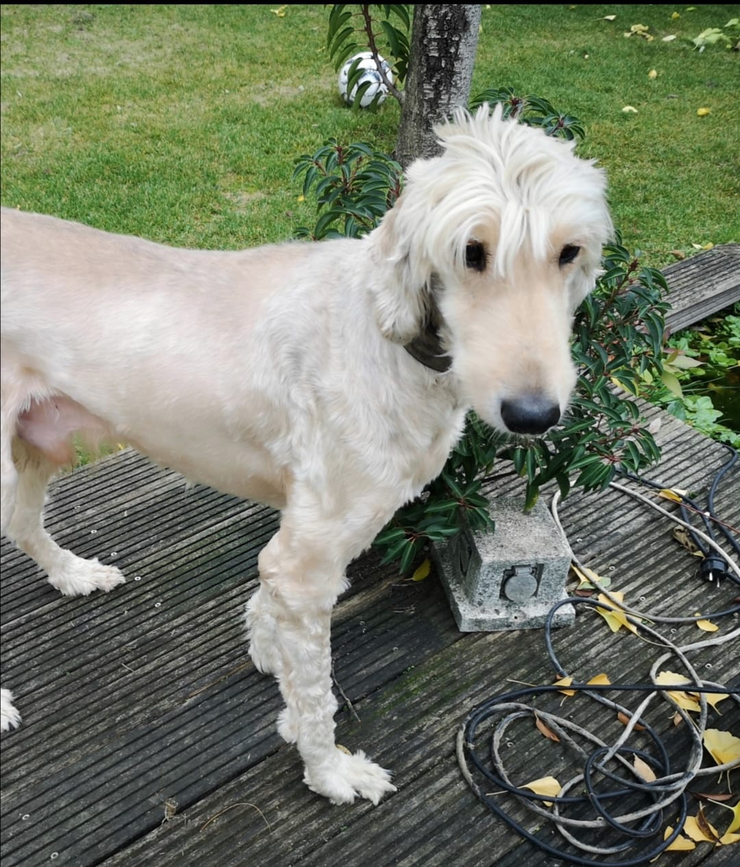 Marty sucht ein gemütliches Plätzchen