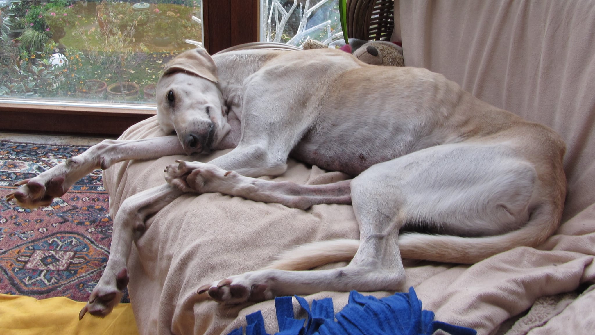 Er ist ein Glücksfall