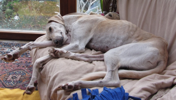 Er ist ein Glücksfall