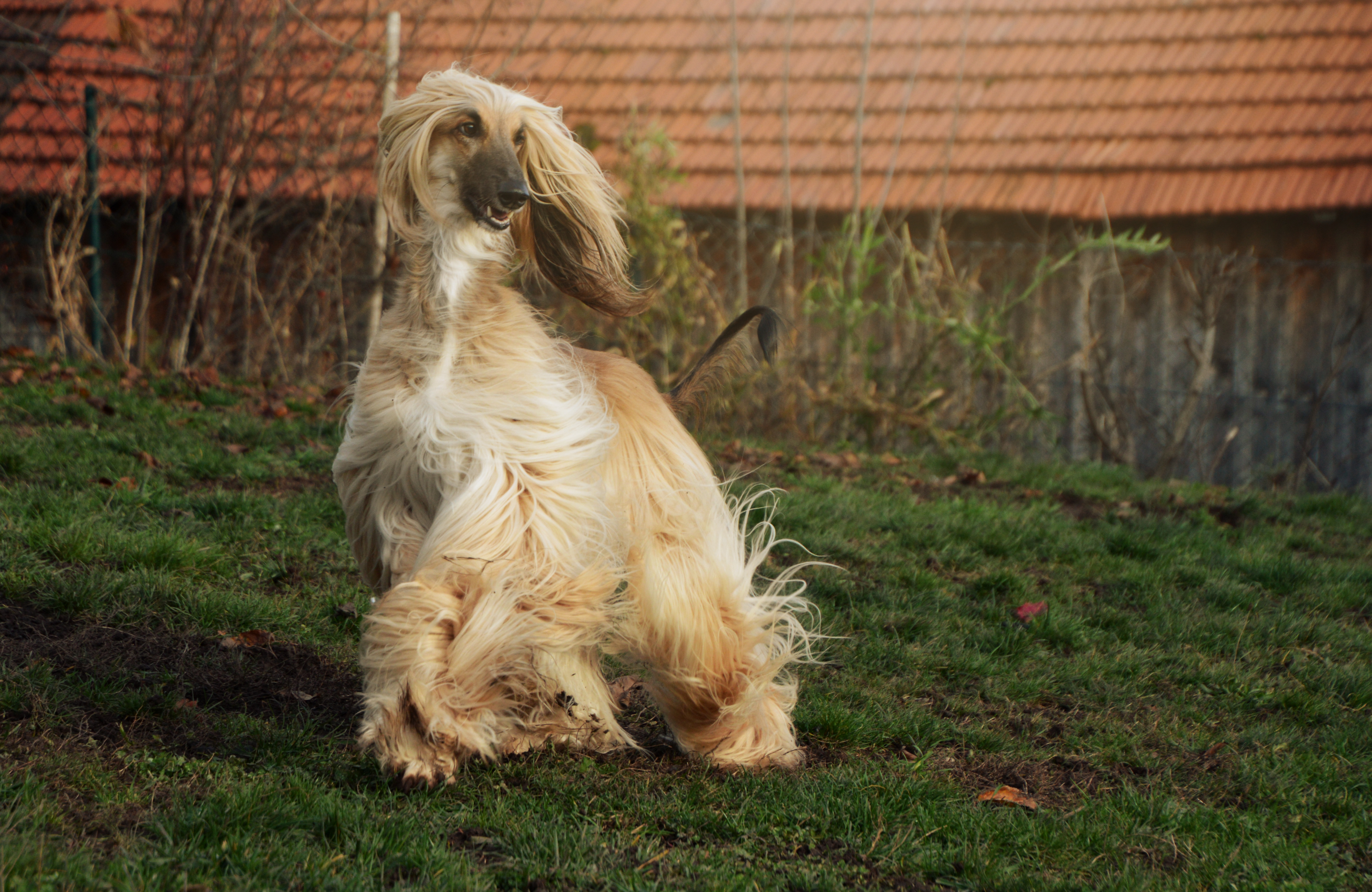 Pflegestelle bezogen...