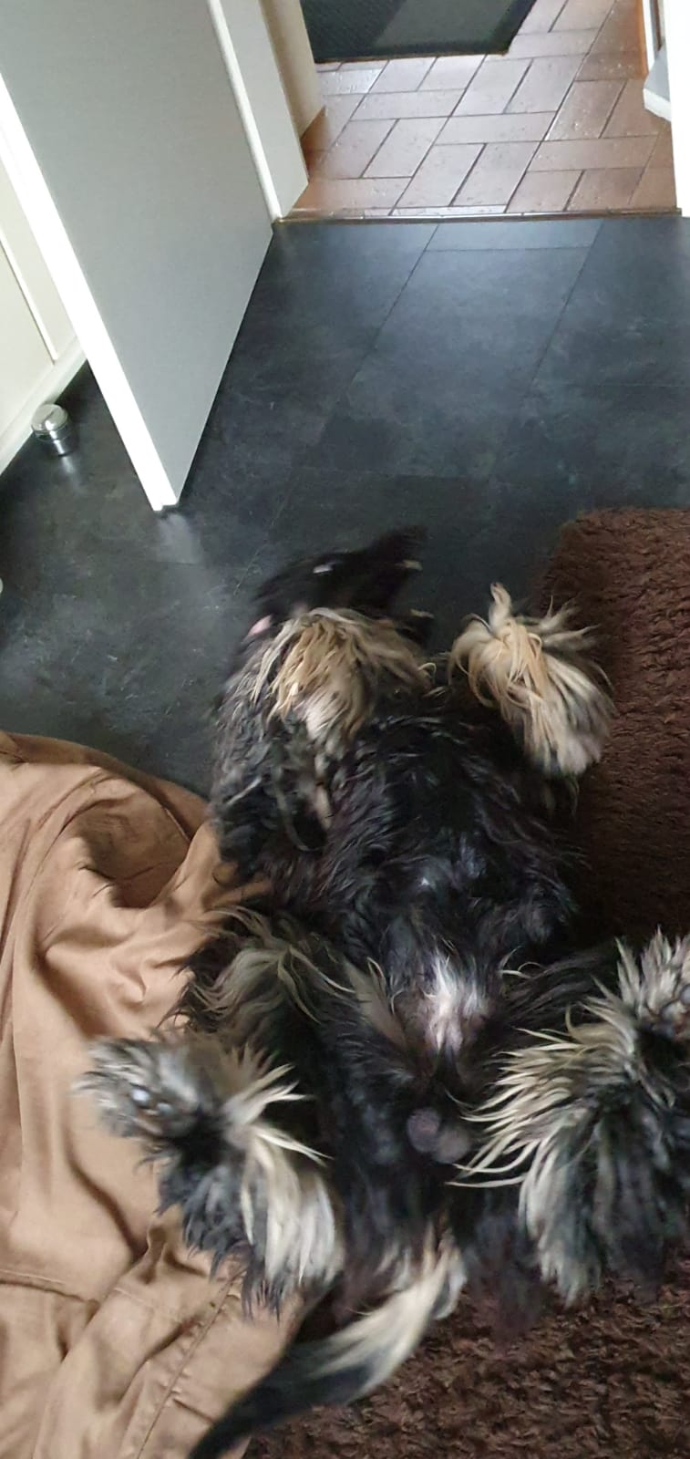 neues Domizil gefunden