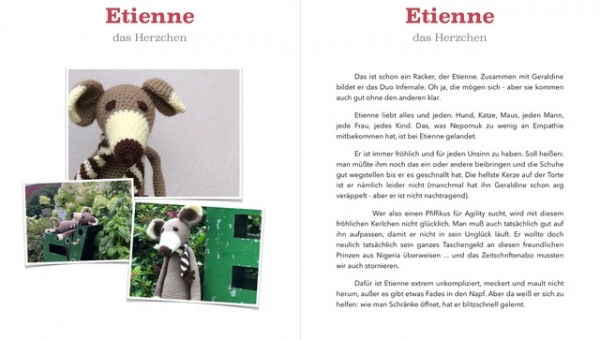 Für-immer-Zuhause gesucht :)