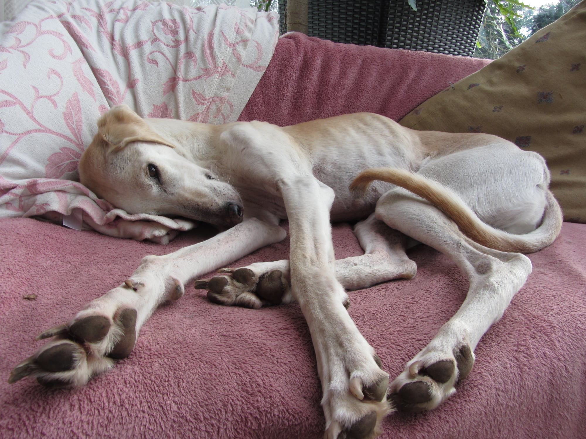 Was macht denn eigentlich unser Robbie?