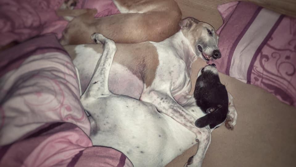 Ziemlich beste Freunde...