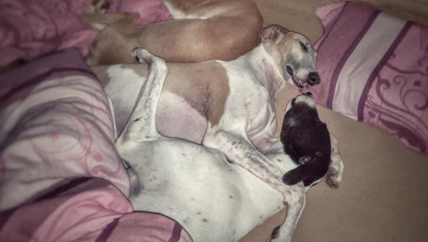 Ziemlich beste Freunde...